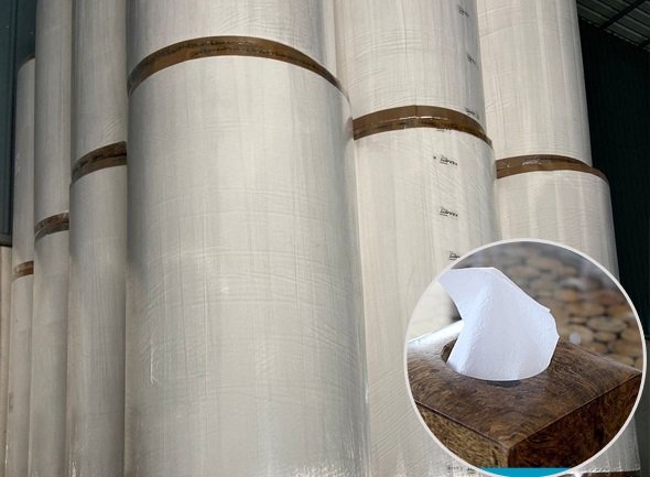Napkin Tissue Roll